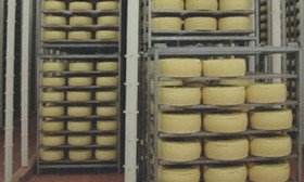 cheese-refrigeration-cheese-storage-03