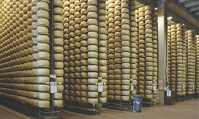 cheese-refrigeration-cheese-storage-06