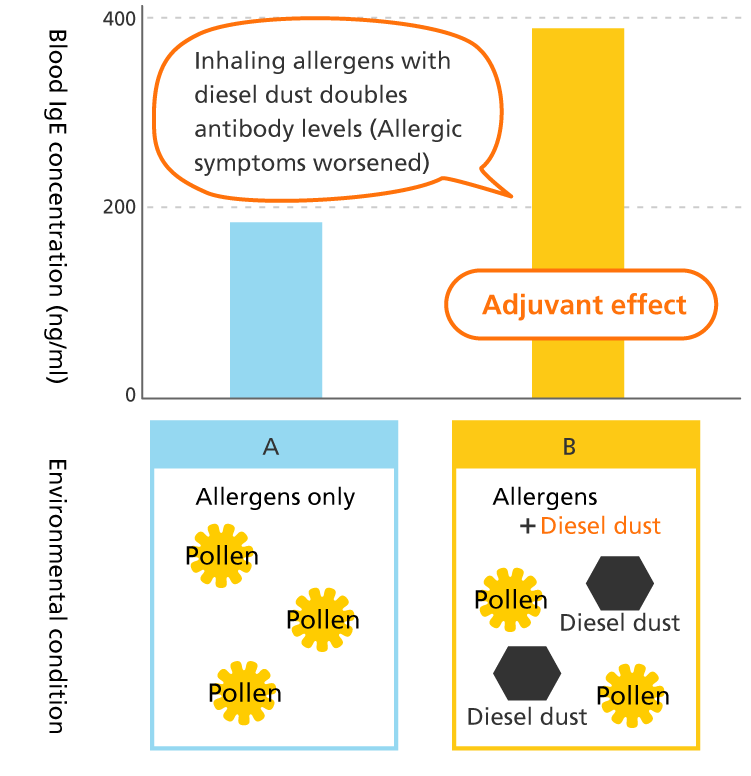 Adjuvant effect