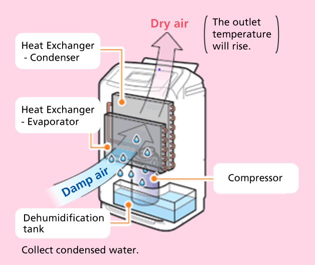 Compressor type