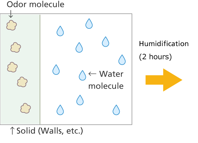 Odor absorbed by the wall