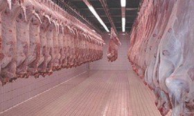 meat-processing-meat-preservation-3