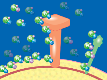 Mechanism