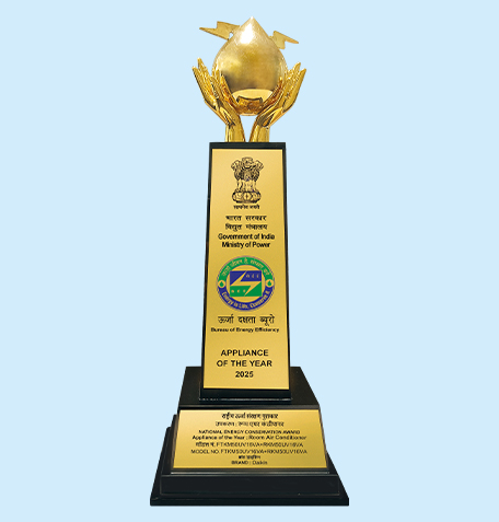 Maiden Factory in India